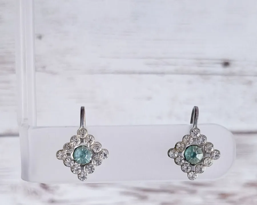 Vintage Screw Back Earrings Blue & Clear Gem