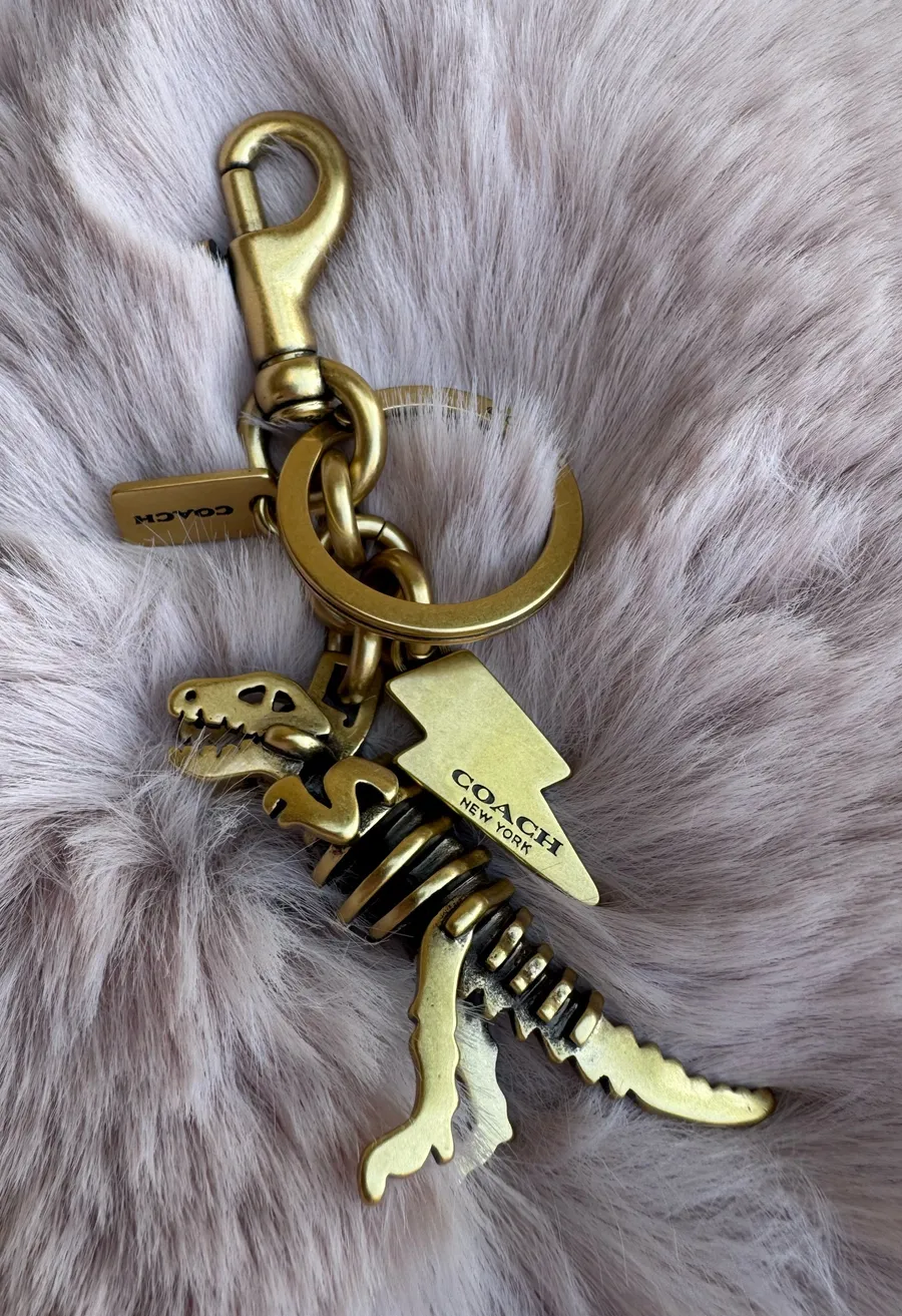 Coach Metal Small Rexy T-Rex Skeleton Puzzle Bag Charm Keychain CCE75 Brass