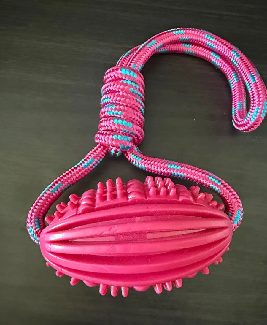 Pink Textured Rubber Tug Toy with Pink & Teal Rope