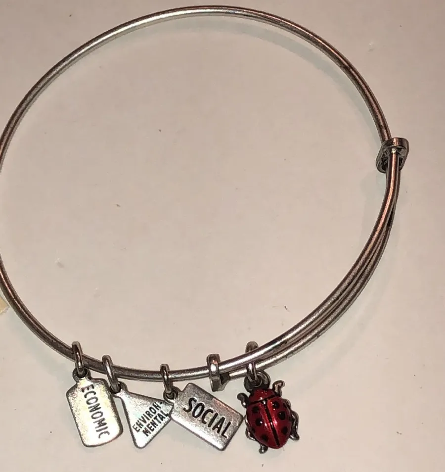 Alex and Ani Silver Tone Ladybug Charm Bracelet