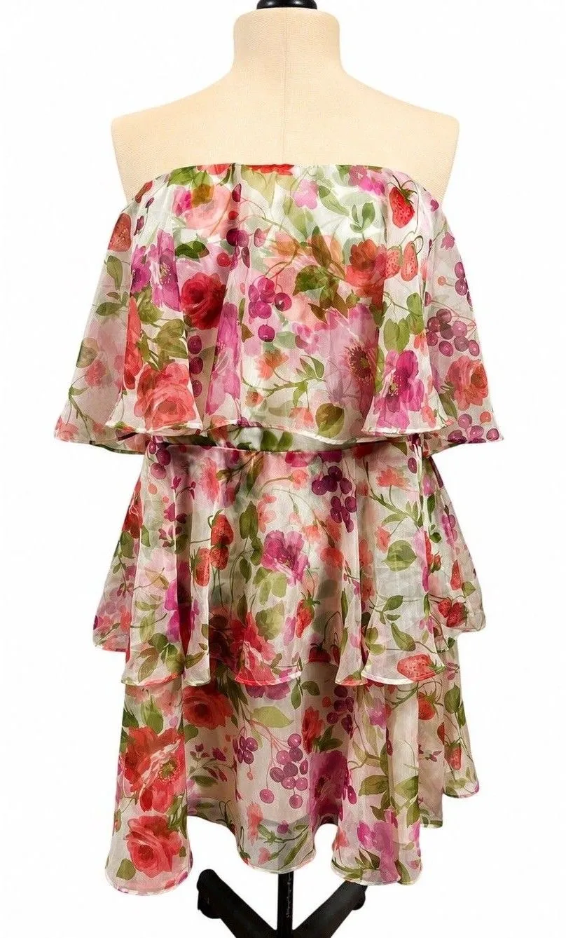 Abercrombie & Fitch Floral Strawberry Sheer Lined Tiered Strapless Dress NWT