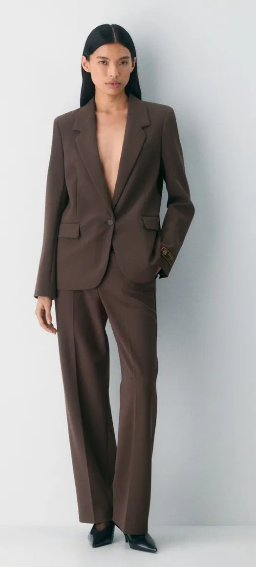 Aritzia brown pants