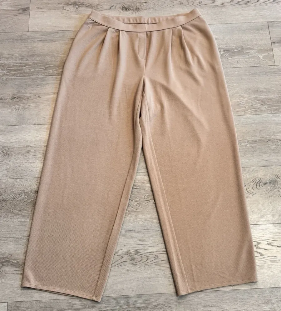 J.Jill Wearever Pleated Trouser Pants Size Xlarge XL Light Toffee Ottoman