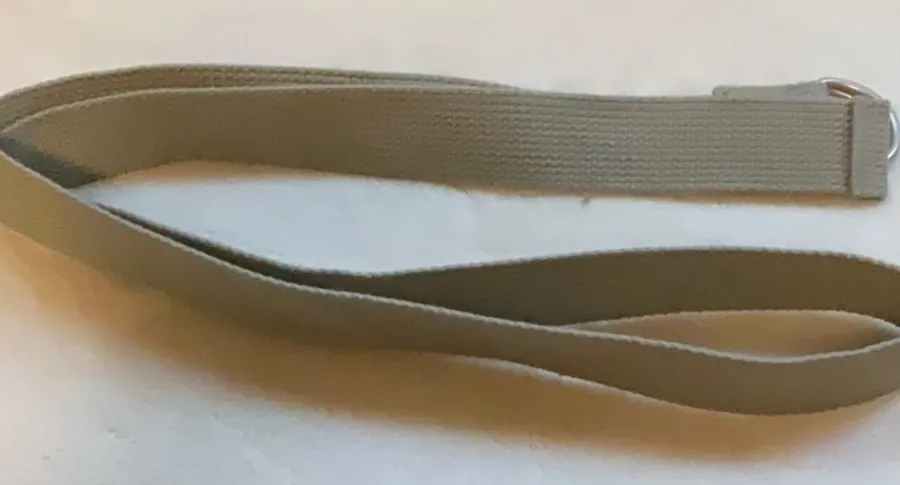 Sophisticated Cream and Silver Belt for Timeless Style