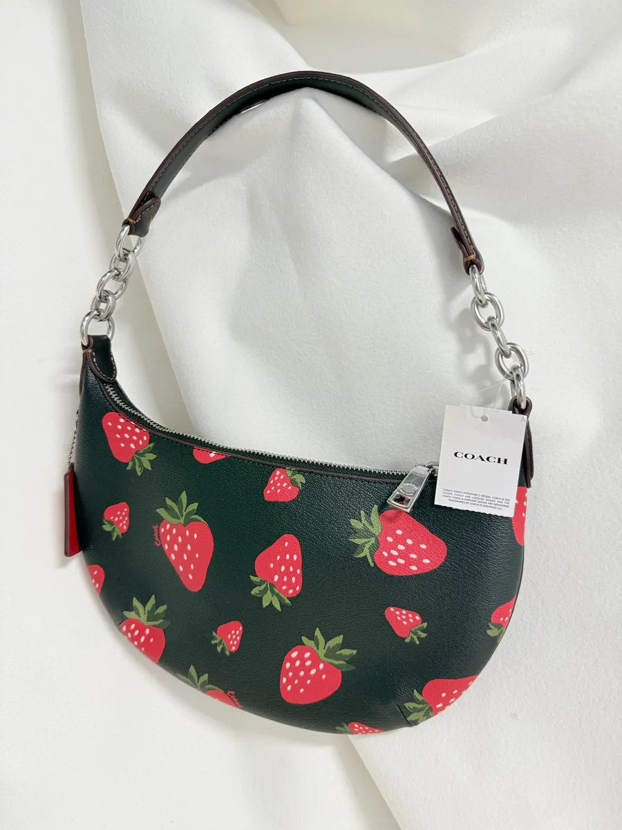 Payton Hobo With Wild Strawberry Print CH330
