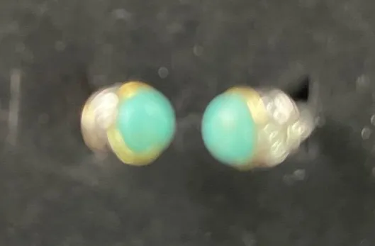 Turquoise Cabochon Stud Earrings