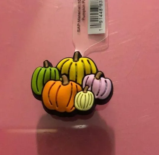 🌈 5 for $10 NWT Pumpkin Patch Jibbitz Charm