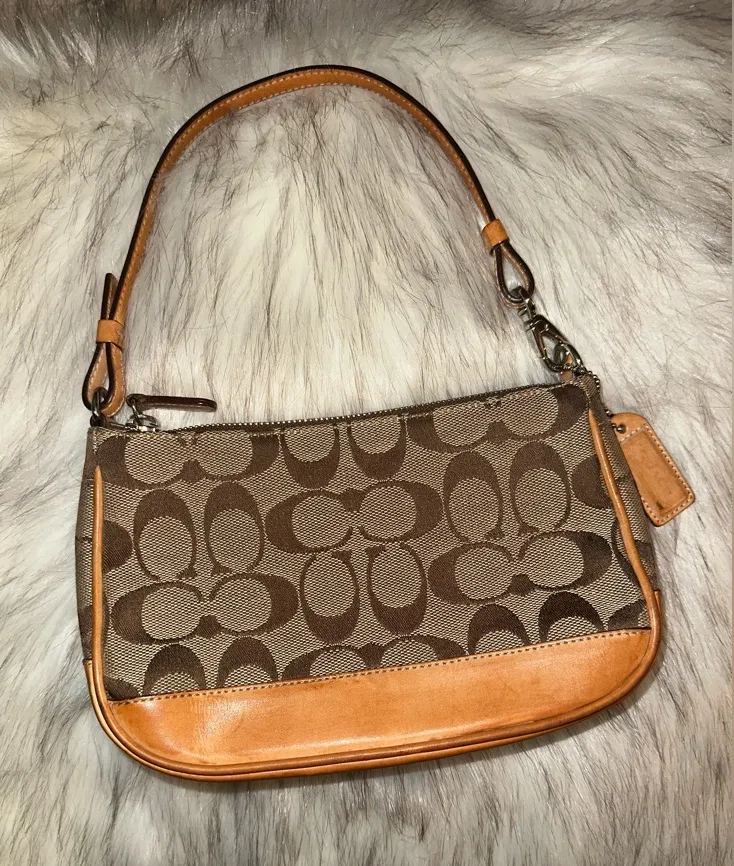 Coach Signature Demi Mini Bag