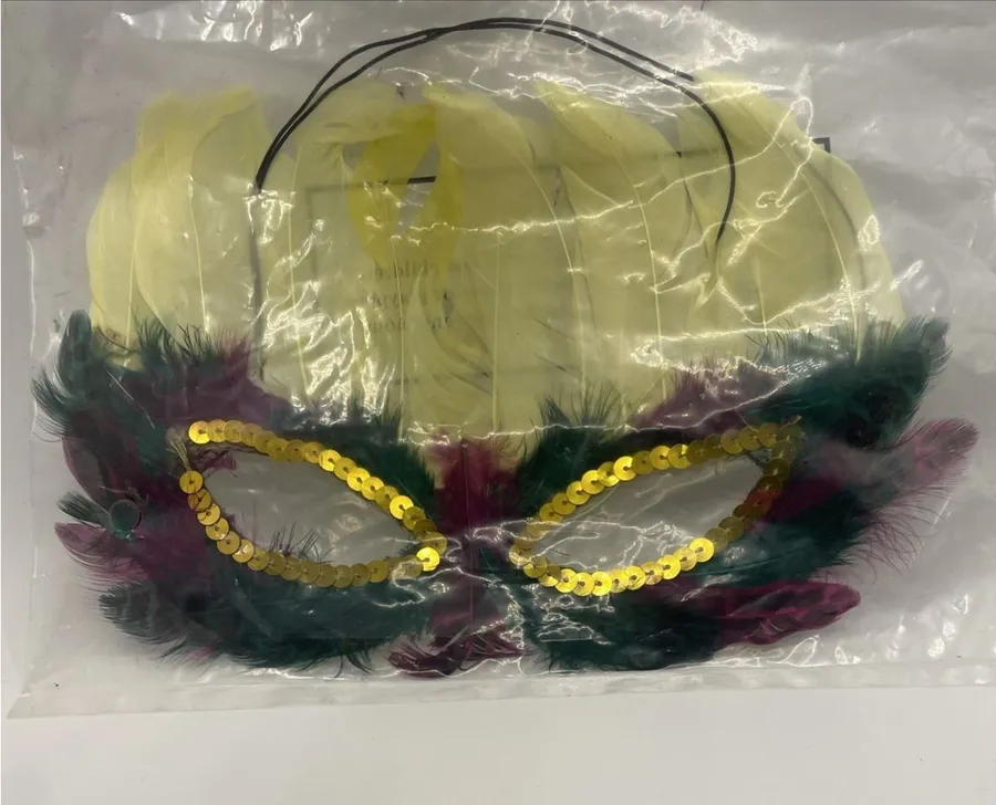 a Mardi Gras feather masquerade mask
