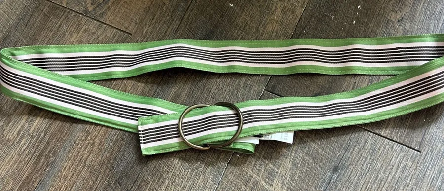 J. Crew Pink/ Green Striped Grosgrain Ribbon D