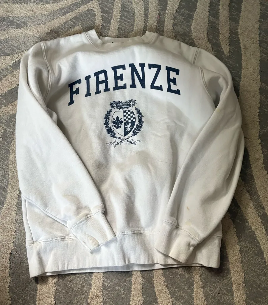 Brandy Melville Firenze oversized crewneck sweatshirt