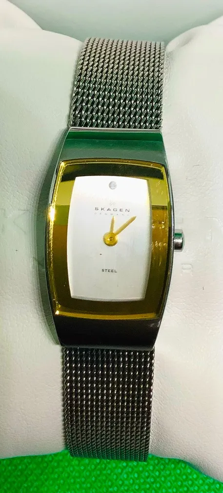 Ladies SKAGEN nice dressy watch πππ Silver