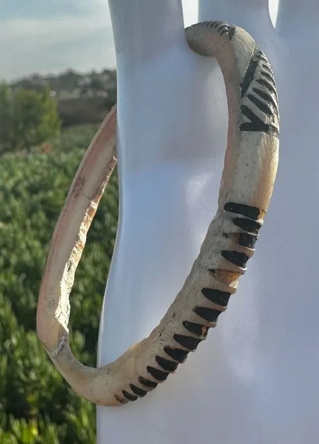 Tami Island Trochus shell bracelet