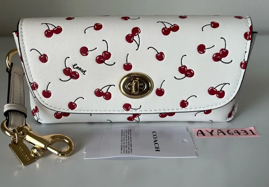 Coach Sunglasses Case
