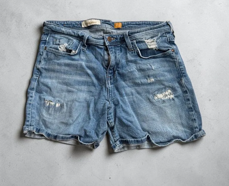 PILCRO AND THE LETTERPRESS Anthropologie Light Wash Denim Shorts Size 30