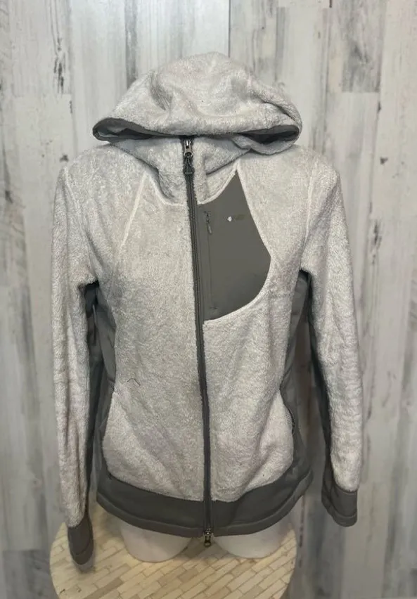 Köppen Grey Teddy Bear High