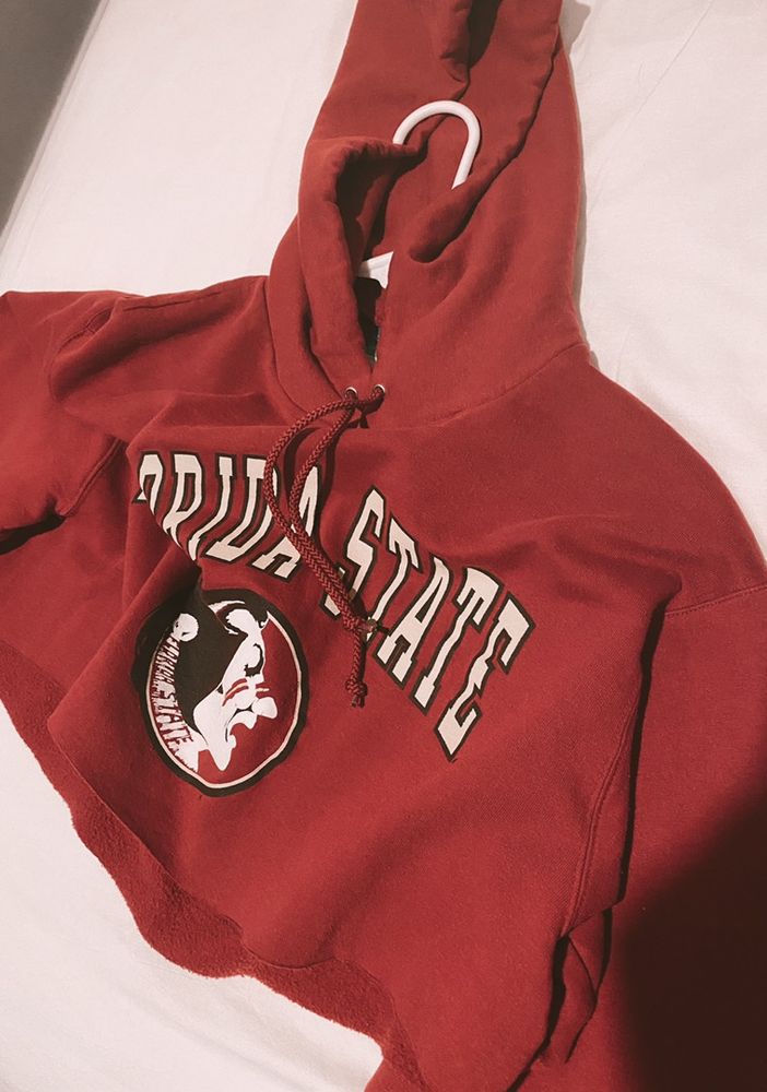 fsu champion hoodie