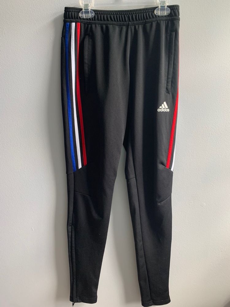 scorpio sol joggers