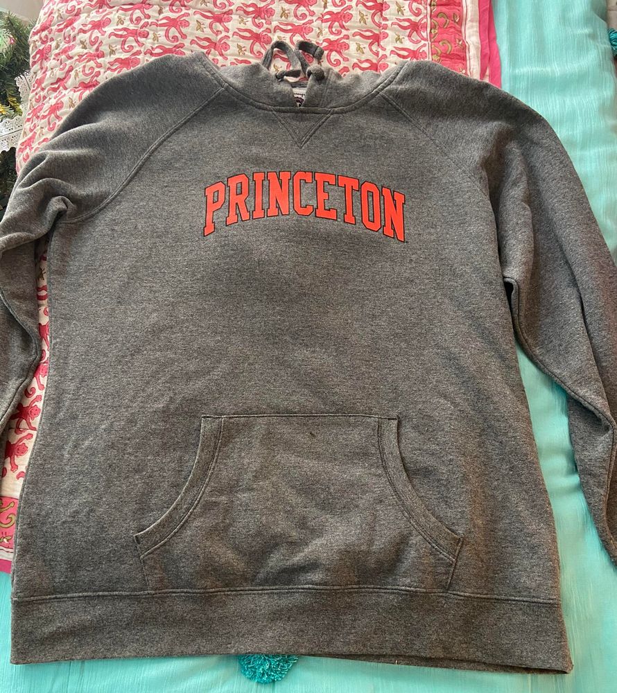 champion princeton sweatshirt