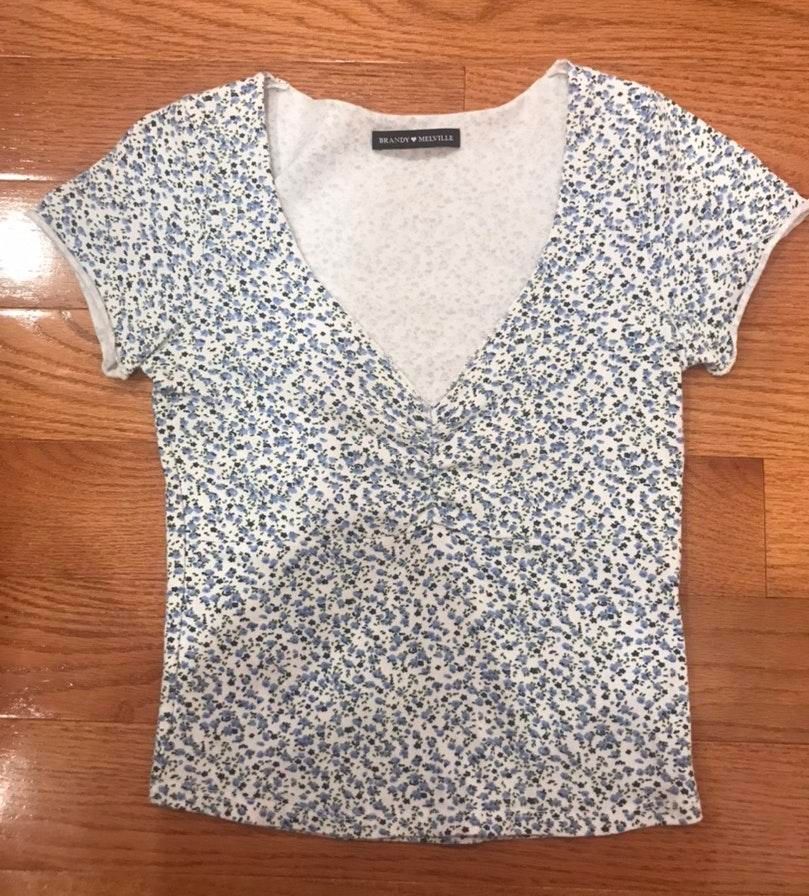 Brandy Melville Floral Gina Top Curtsy