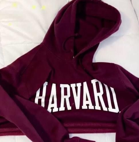 harvard jumper h&m