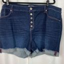 Torrid  Hi Rise Dark Wash Troubadour Button Fly Shorts Sz.26W NWT Photo 7