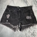 EXPRESS Shorts Photo 0