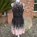 Carmen Marc Valvo Luxe by  Black & Pink Dress with Belt Photo 3