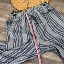 American Eagle  blue striped pull on high rise pants Photo 2