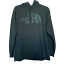 The North Face  Women Pullover Hoodie XL Hunter Green Graphic Logo Outdoor Photo 0
