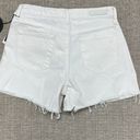 Articles of Society NWT  High Rise Shorts Photo 1