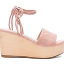 Raye  Finley Wedge Sandals in Ballet size 8 Photo 2