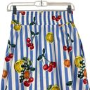 Show Me Your Mumu  Fruit Basket Plaza Blue Striped Pull On Midi Skirt SZ XS Photo 11