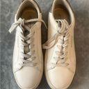 Coach Shoes Photo 0