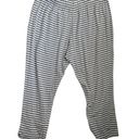 Liz Claiborne  Women Lounge Pants XL Gray Striped Straight Leg Cozy Comfort Photo 0