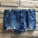 Aerie Daydream Denim Jean Shorts Distressed  Rocky Blue XL Photo 1