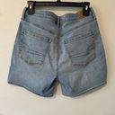 American Eagle Denim Shorts Photo 1