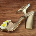 Betsey Johnson  Sedona Gold Daisy Sandals Size 9 Photo 4