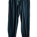 Marine layer  Lounge Jogger Pants- Size Medium Photo 5