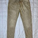 Pilcro NWT  Tan w/ Light Floral Paisley Print Mid-rise Slim Boyfriend Jeans - 27 Photo 0