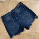 Cello Womens  Distressed Shorts XL Photo 1