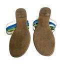 Tommy Hilfiger  Blue Green White Logo Thong Sandal Photo 1