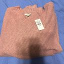 American Eagle NWT  Sweater Photo 0