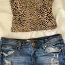 Brandy Melville Cheetah Tube Top Photo 0