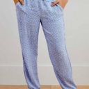 Aerie  Silky Animal Print Leopard Blue Pajama Lounging Bottoms Pants SZ M Photo 0