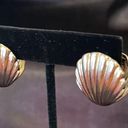 Boutique Gold Seashell Large Stud Earrings Photo 7