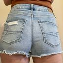 American Eagle Curvy Shorts Photo 4