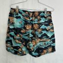 Rip Curl 5/$25  tropical shorts medium Photo 1