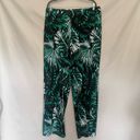 Krass&co D& Beach Pull-On Womens Pants Size LT Palm Branches Tropical Green Tall Beachy Photo 9