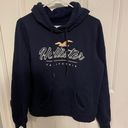 Hollister Navy Blue Hoodie Photo 2